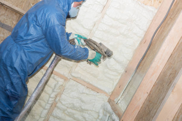 Eco-Friendly or Green Insulation Solutions in Fairmount Heights, MD